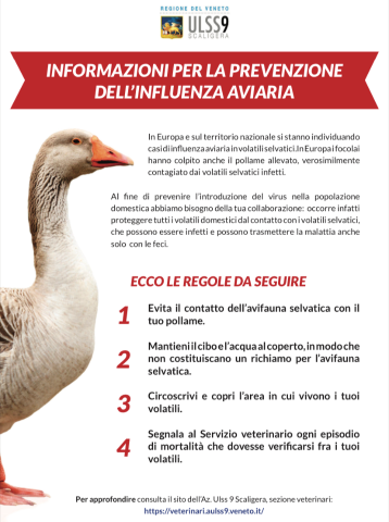 Influenza aviaria, ecco come prevenirla