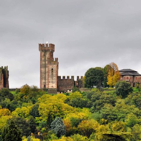 Cinema tra le Torri 2019