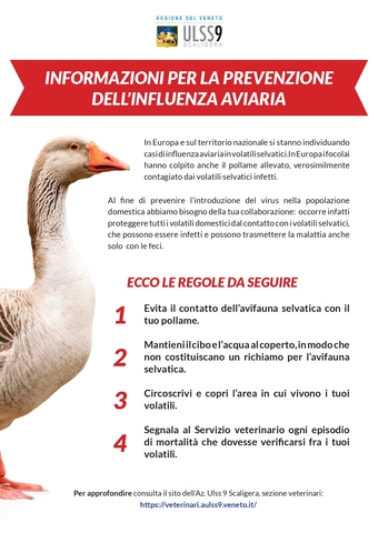 Informazioni per la prevenzione dell'influenza aviaria